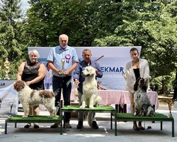 CETINJE 2022