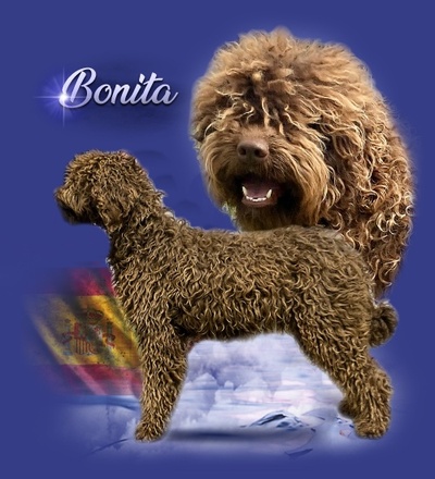 Bonita