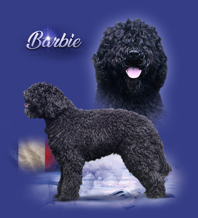iko barbie